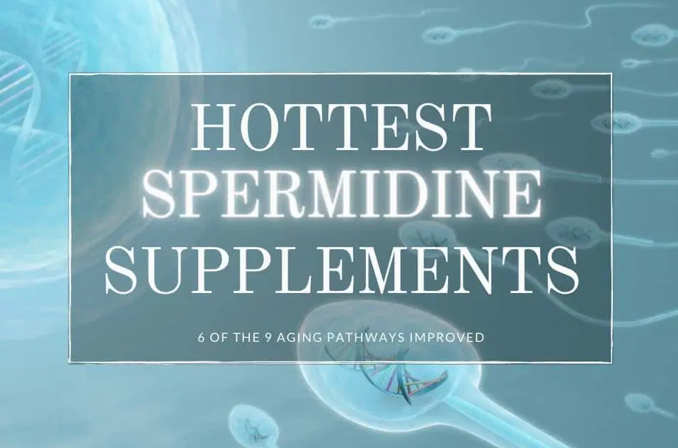spermidine supplement, anti-aging, longevity, david sinclair