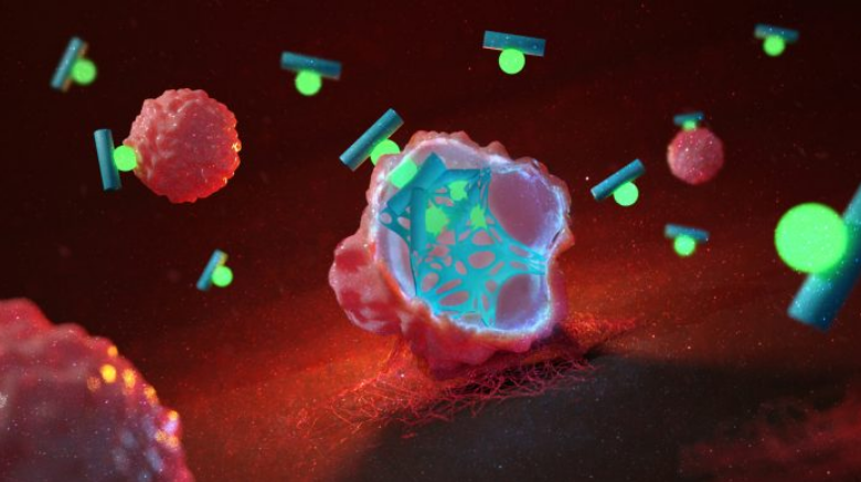 Is PNC-27 and PNC-28 the Best way to cure Cancer?