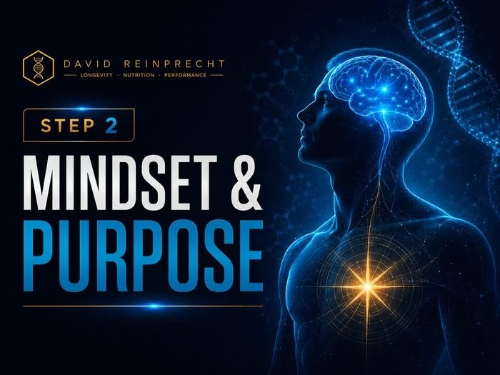 Longevity Blueprint