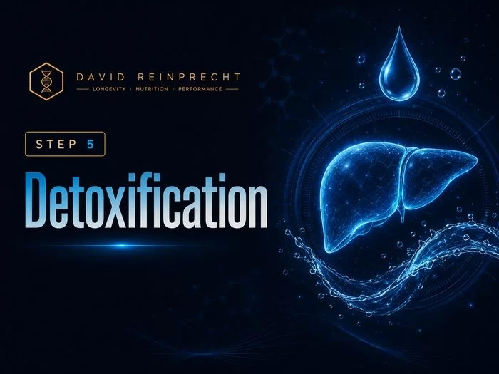 Longevity Blueprint