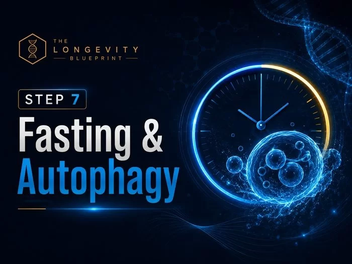 Longevity Blueprint